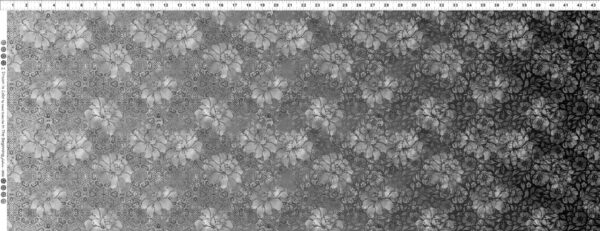 In The Beginning Fabrics - I Dream in Color - Rose Ombre Gray 9-IDC-1