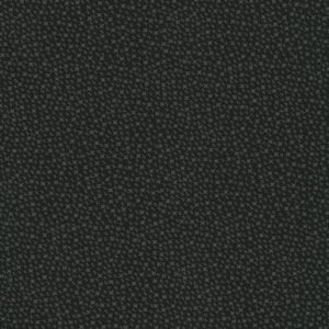 Robert Kaufman  - Julie Letvin: Life on the Ridge AUJD-23058-2 Black