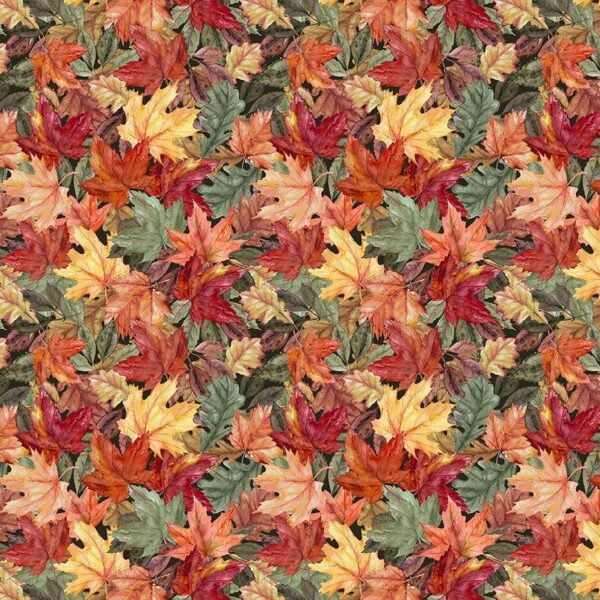Timeless Treasures Nature-CD3478 Autumn - Fall Leaves