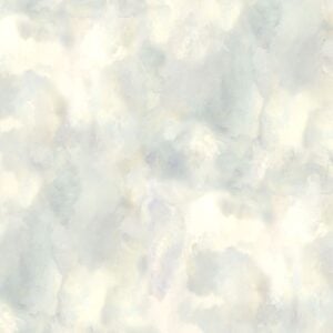Timeless Treasures Forest Whisper Texture-CD3688 Solid Texture - Grey