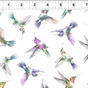 In The Beginning Fabrics - Daydreams - Hummingbirds Multi 5DD-1