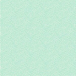 Marcus Fabrics - Aunt Grace Goes Scrappy by Judie Rothermel - R351532D Aqua Rice