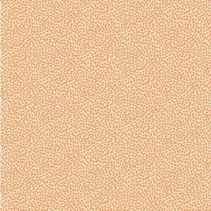 Marcus Fabrics - Aunt Grace Goes Scrappy by Judie Rothermel - R351532D Orange Rice