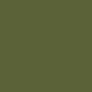 Riley Blake Basics Confetti Cotton C120 Avocado