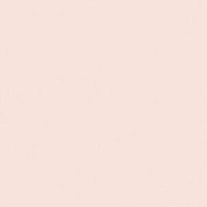 Riley Blake Basics Confetti Cotton C120 Ballerina