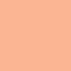 Riley Blake Basics Confetti Cotton C120 Marmalade