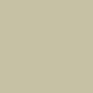 Riley Blake Basics Confetti Cotton C120 Meadow