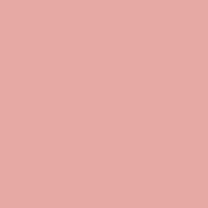 Riley Blake Basics Confetti Cotton C120 Mellow Rose