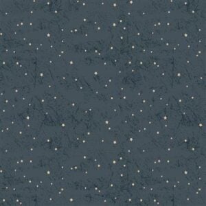 Clothworks Living the Dream Flannel - Y4538-93 Light Navy Stars