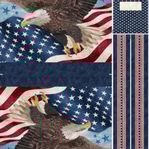 Northcott Fabrics - C27880-49 Stonehenge 24" x 43" Stars and Stripes 13 Canvas Eagles Bag Panel