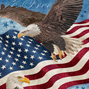 Northcott Fabrics - DP27878-49 Stonehenge 28" x 43" Stars and Stripes 13 Eagles Panel