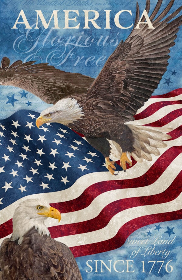 Northcott Fabrics - DP27878-49 Stonehenge 28" x 43" Stars and Stripes 13 Eagles Panel