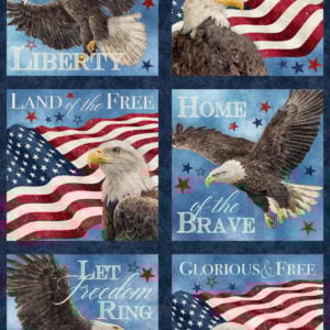 Northcott Fabrics - DP27879-49 Stonehenge 24" x 43" Stars and Stripes 13 Eagles Blocks Panel