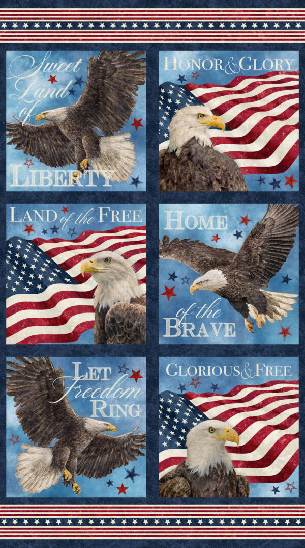 Northcott Fabrics - DP27879-49 Stonehenge 24" x 43" Stars and Stripes 13 Eagles Blocks Panel