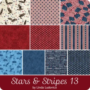 Northcott Fabrics - 10-Piece Fat Quarter Bundle - Stonehenge Stars and Stripes 13