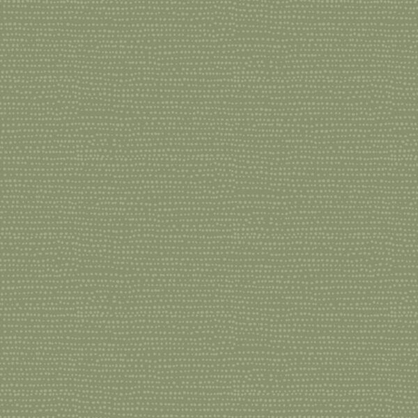 Dear Stella Moonscape - 1150 Ivy