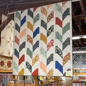 Skyler 2.0 Twin Size Quilt Kit from Stripology Quickies Book by Gudrun Erla of GE Designs - Featuring Brookside from Moda by 1Canoe2