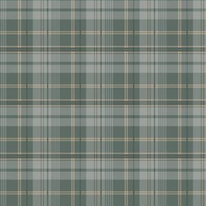 Timeless Treasures Winter Wonderland - CD3702 Green - Tartan Plaids