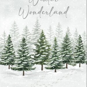 Timeless Treasures Winter Wonderland - CD3691 Winter - 24" Panel