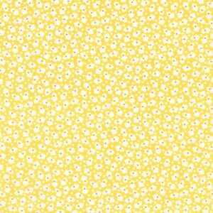 Robert Kaufman  - Darlene Zimmerman: Darlene's Favorites ADZD-23343-5 Yellow