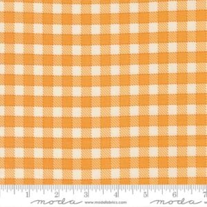 Moda - Animal Park Fun by Stacy Iest Hsu - 20966 18 Canary Baby Check