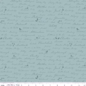 Riley Blake Amanda Niederhauser Ambleside - C17116-Blue Town Names