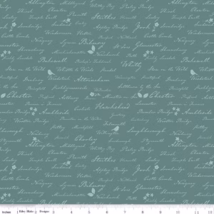 Riley Blake Amanda Niederhauser Ambleside - C17116-Teal Town Names