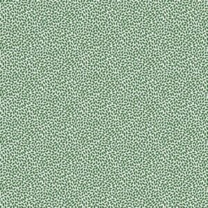 Marcus Fabrics - Aunt Grace Goes Bold by Judie Rothermel - R351777D Green Rice