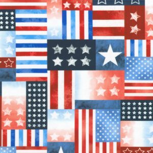 Robert Kaufman - Stars and Stripes SRKD-23433-4 Blue