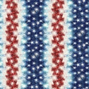 Robert Kaufman - Stars and Stripes SRKD-23434-202 Americana