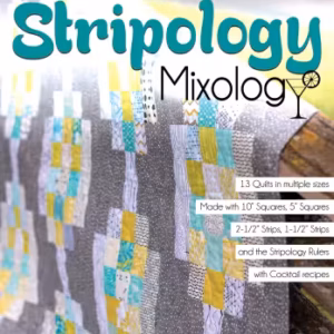 Stripology Mixology  Book by Gudrun Erla of GE Designs