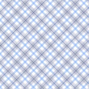an image of gray, white, and blue plaid fabric