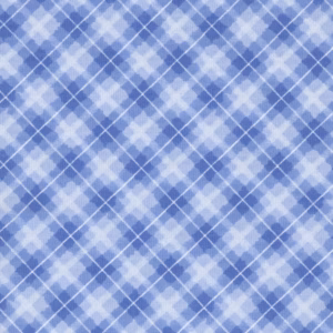 an image of blue and white plaid fabric