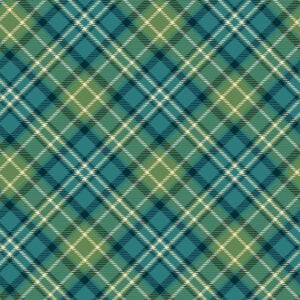 an image of fabric with a diagonal plaid print in teal and apple green